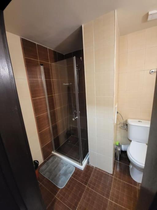 Bansko Royal Towers 253 Apartment Ngoại thất bức ảnh